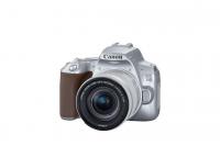 Картинка Фотоаппарат зеркальный Canon EOS 250D kit 18-55 IS STM Silver от магазина СКД-Канон